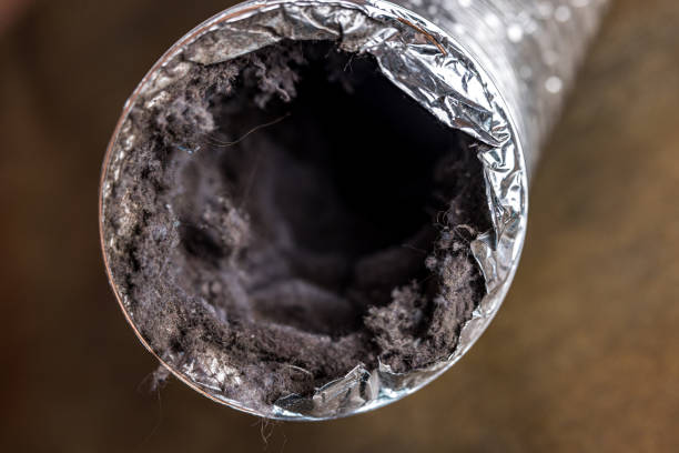 Best Local Air Duct Cleaning Services  in Jerome, IL
